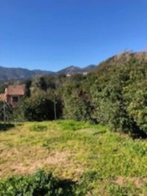 En Corse Du Sud Entre Et Montagne * Peri